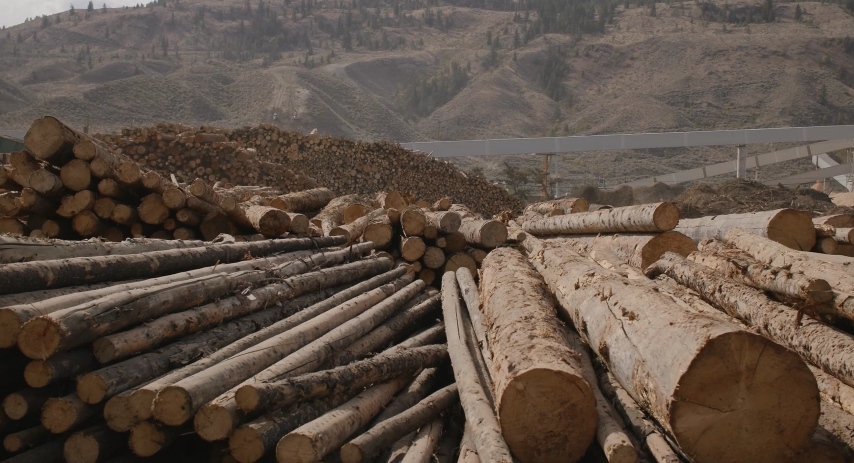 Image of value added lumber in the River City Fibre LLP wood yard.